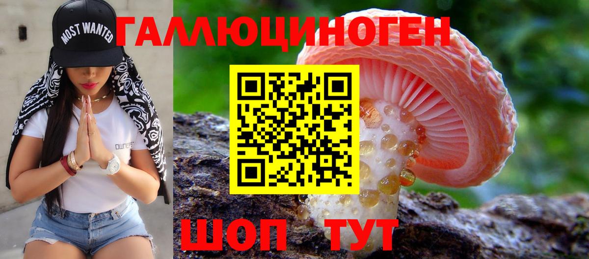 Галлюциногенные грибы GOLDEN TEACHER  Вход с VPN  Кыштым 